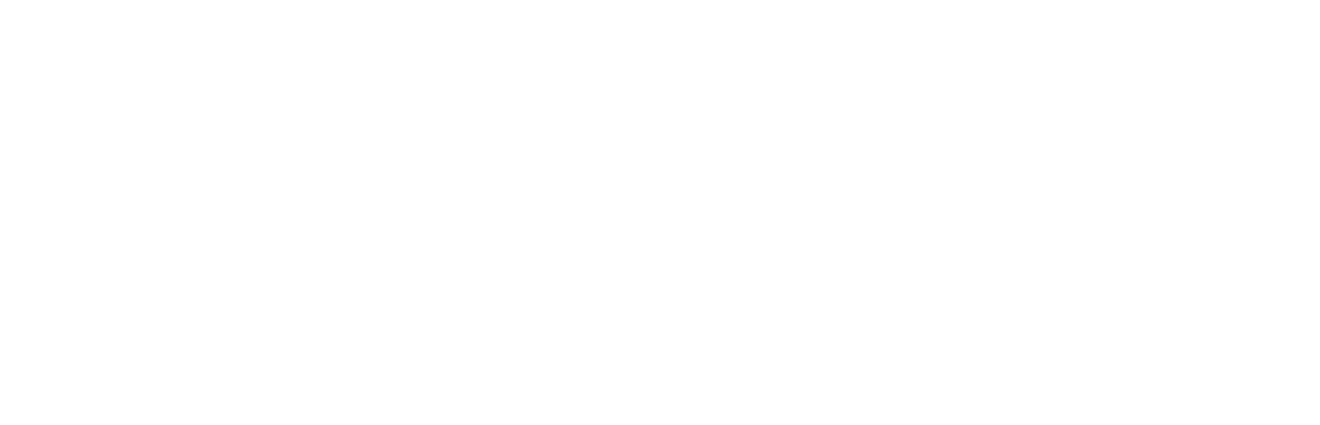 Brand Vox Logo